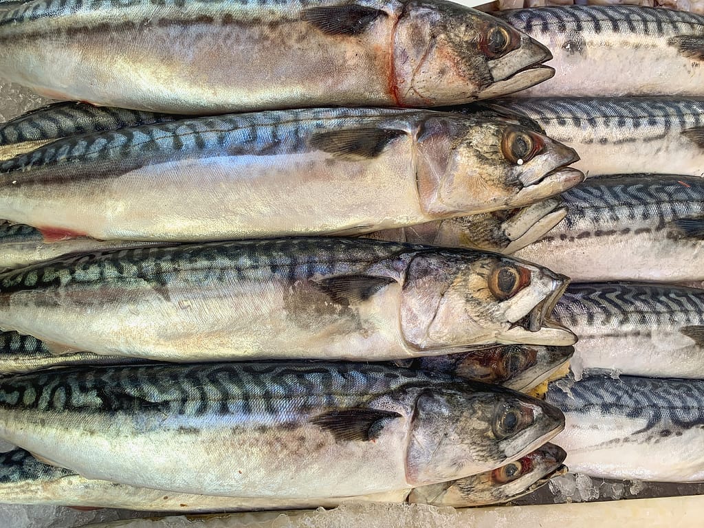 Fish in a market in London